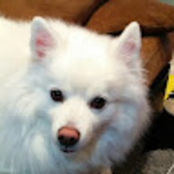suzyqbay
